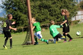 九游娱乐官网 (JIUYOU)-足球科技创新奖：年度最佳科技成果揭晓，足球科研