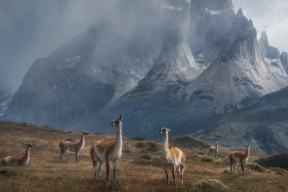 九游登录中心-团队协作默契，双人跳表现突出，双人跳最好的组合是什么
