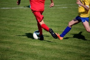 九游网页版官网-国家体育场馆运营管理论坛探讨智能化方向，国家体育总局体育场馆运营管理办法