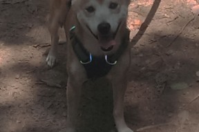 JIU YOU GAME-CBA球队自建康复中心提升球员恢复效率降低伤病发生率，cba康复师招聘