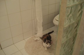 九游下载安装-林丹赞助新兴羽毛球赛事推动发展，林丹 羽毛球比赛