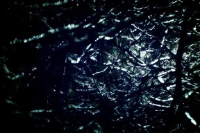 九游jiuyou-女子蝶泳50米决赛陈佳表现突出，女子蝶泳50米速度标准