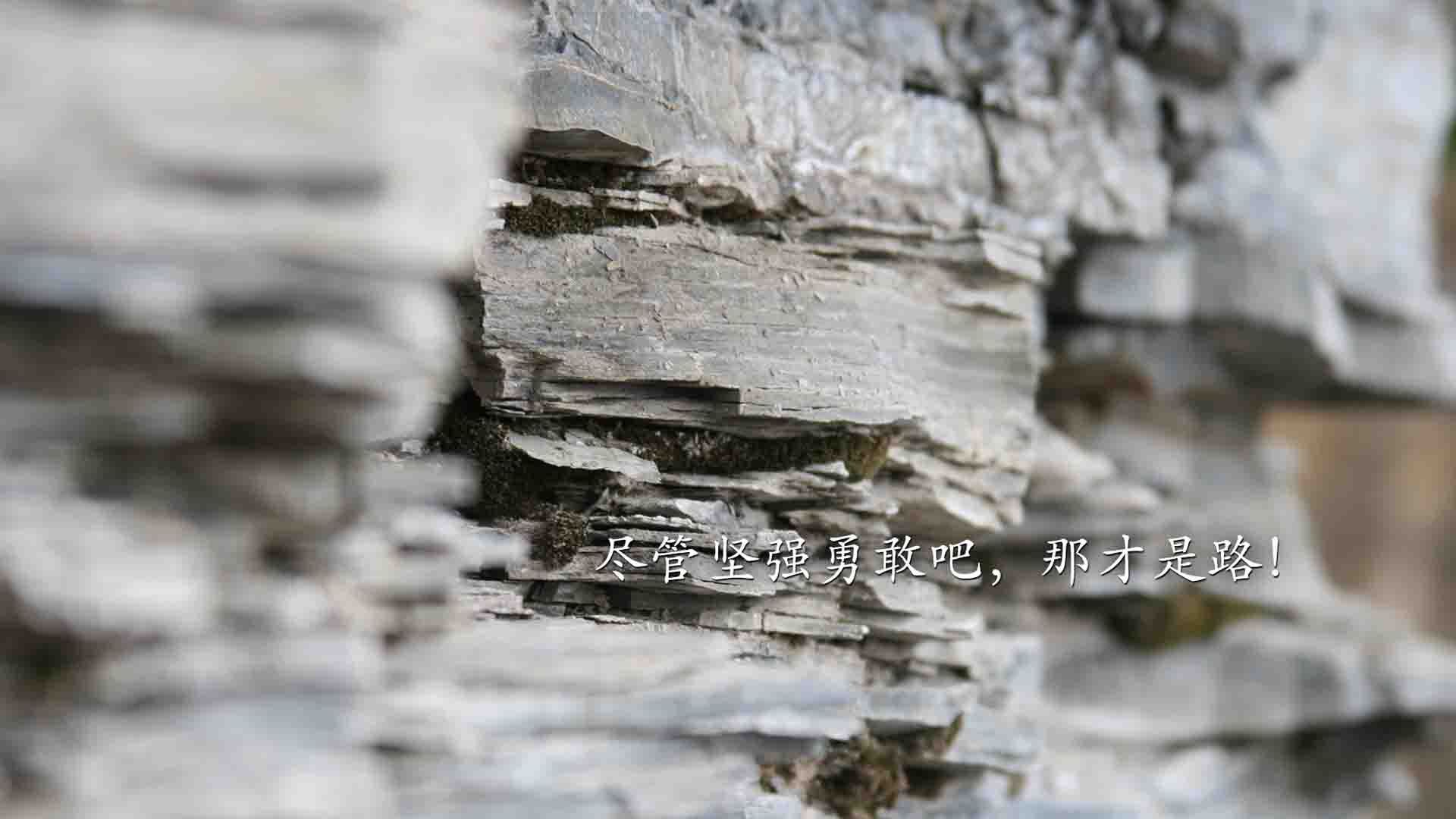 中国篮球职业联赛俱乐部财务管理风险控制研究，篮球俱乐部管理系统