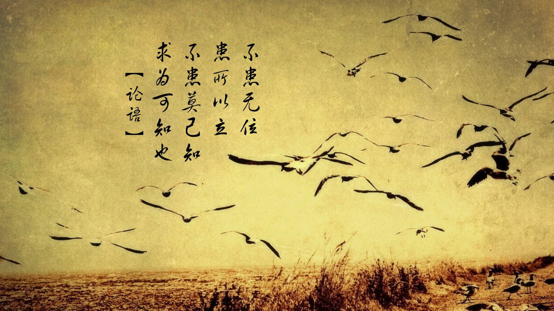 篮球运动员竞技状态智能监测与训练调整研究，篮球竞技能力的构成