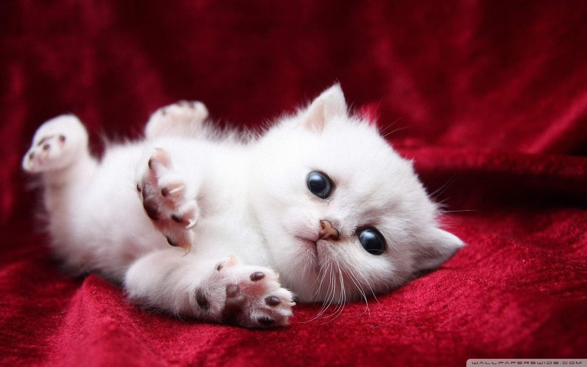 中美选手呼吸频率战术形成强烈反差,美军呼吸法