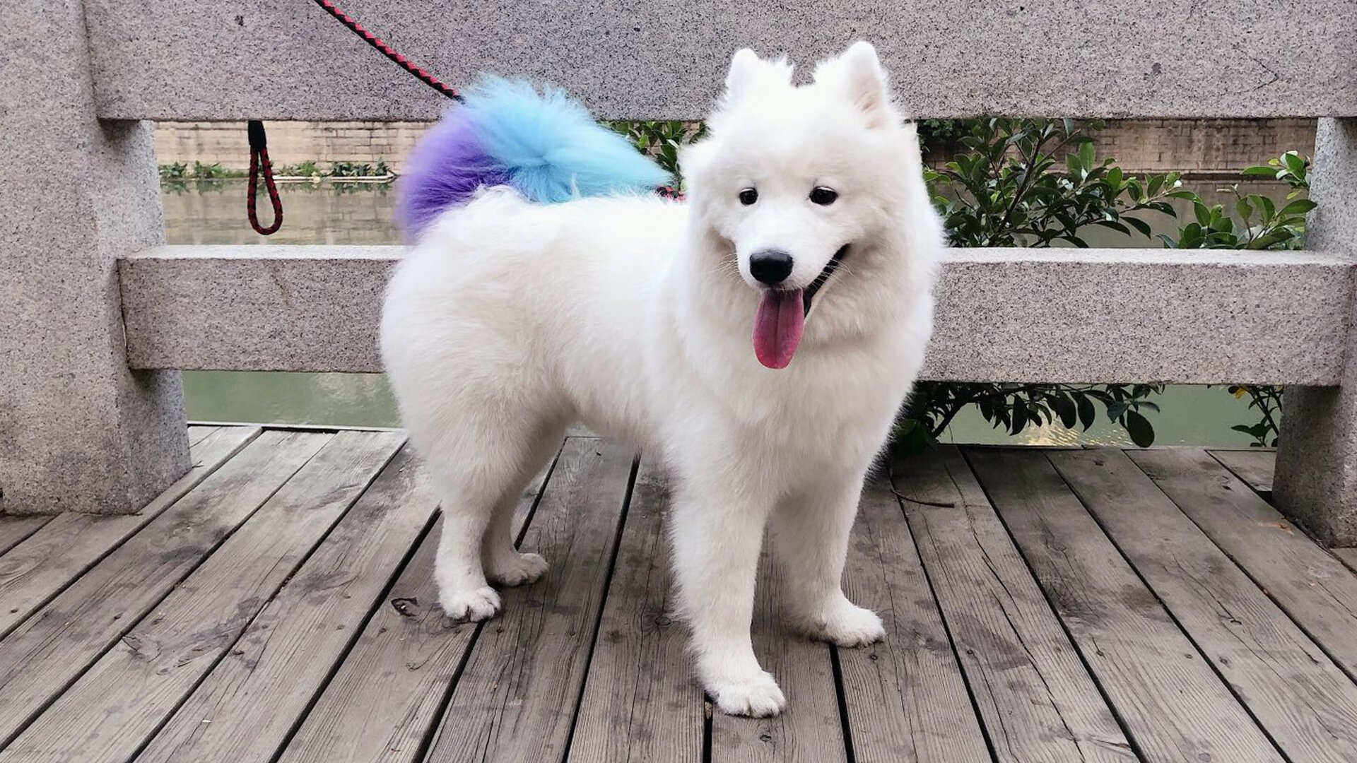 中超赛事主客场氛围营造纳入考核机制,中超联赛的参与机制