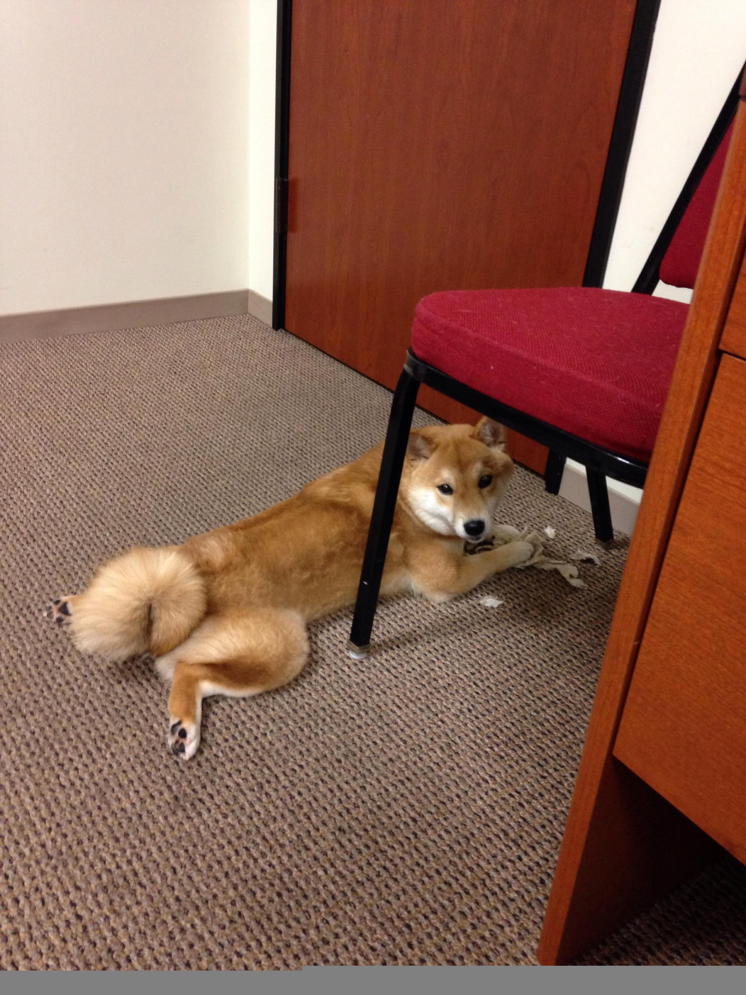 中超赛事主客场氛围营造纳入考核机制,中超联赛的参与机制