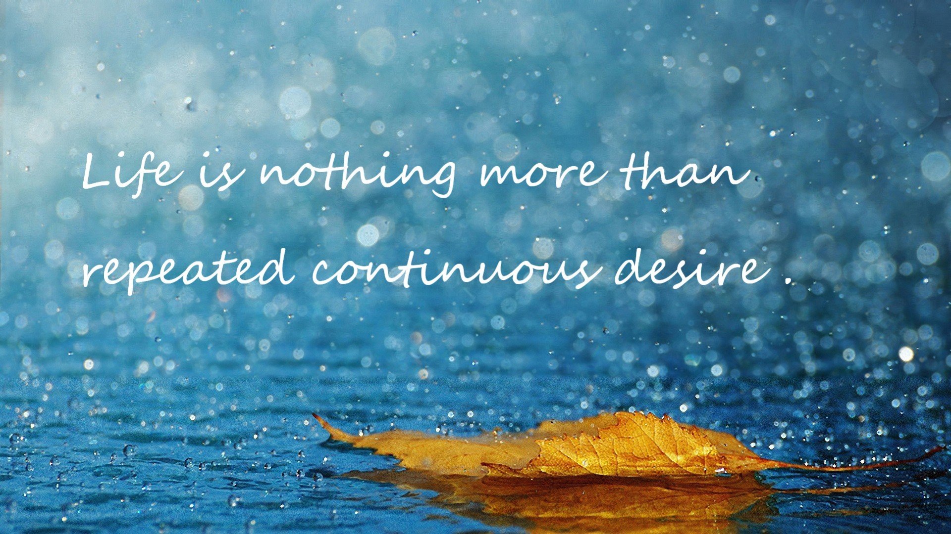 体育教师能力认证制度在试点城市启动,体育教师资格证认定条件