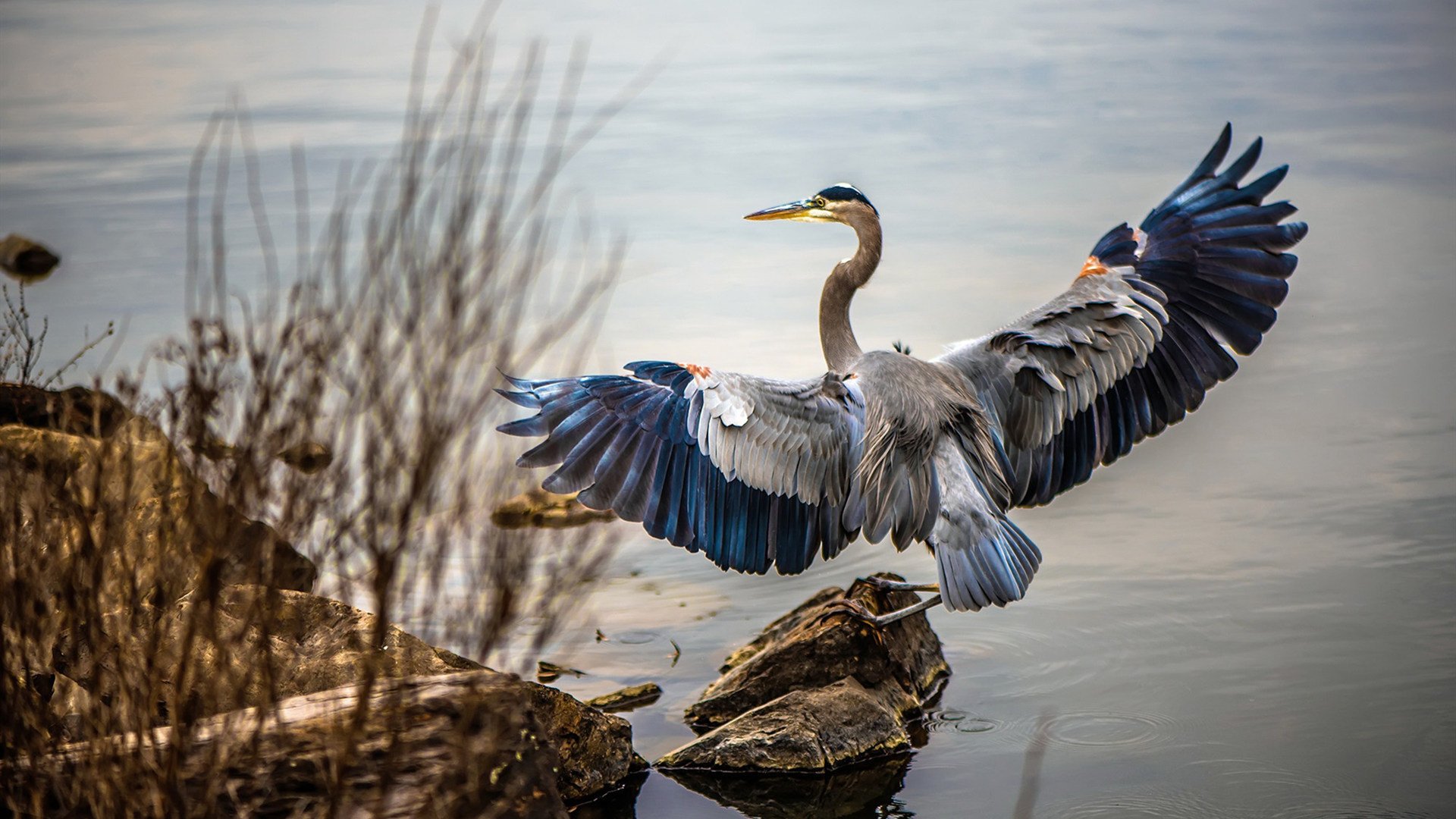 塞维利亚状态火热,争夺欧洲赛场资格