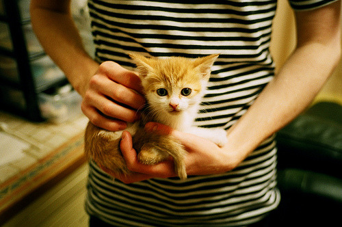 中国足球联赛加强赛事营销宣传力度,足球联赛策划方案