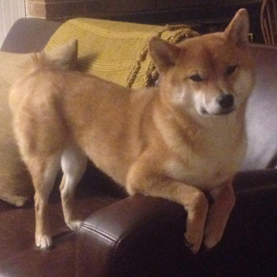 中国足球联赛加强赛事营销宣传力度,足球联赛策划方案